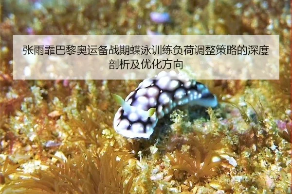 张雨霏巴黎奥运备战期蝶泳训练负荷调整策略的深度剖析及优化方向